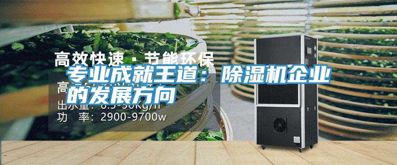 專業(yè)成就王道:除濕機企業(yè)的發(fā)展方向