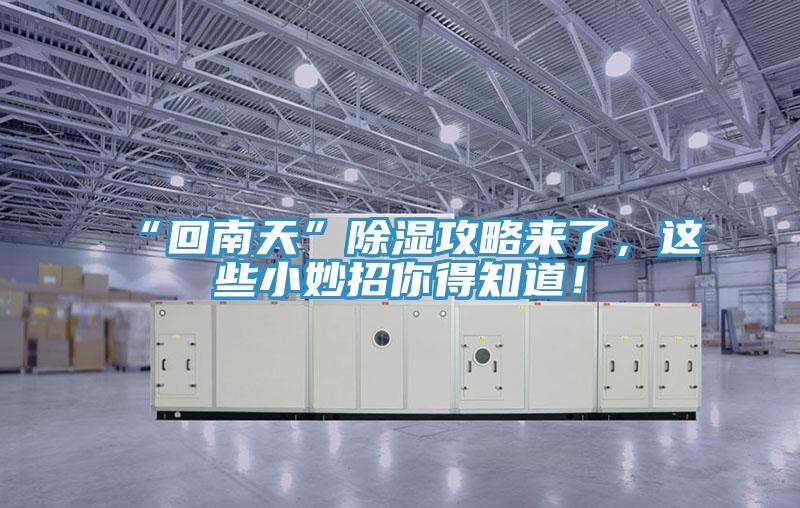 “回南天”除濕攻略來了，這些小妙招你得知道！