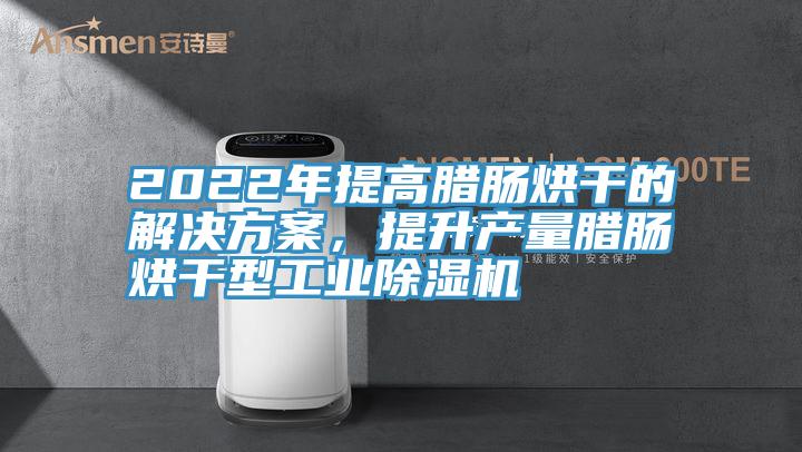 2022年提高臘腸烘干的解決方案，提升產量臘腸烘干型工業除濕機
