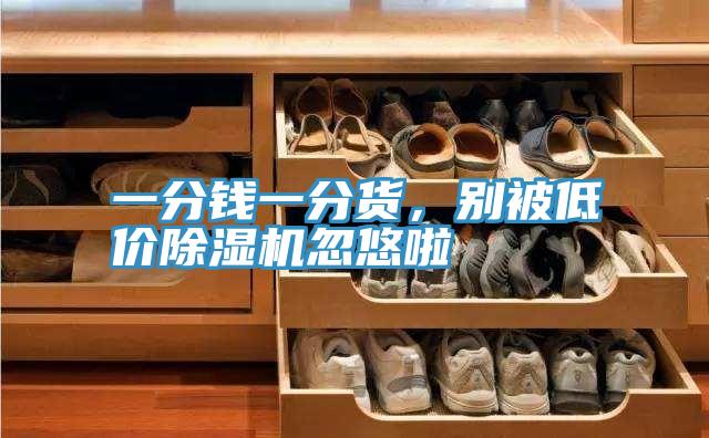一分錢一分貨,別被低價(jià)除濕機(jī)忽悠啦