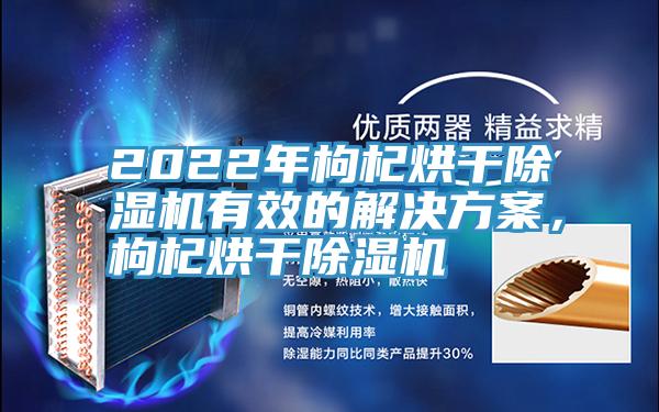 2022年枸杞烘干除濕機有效的解決方案，枸杞烘干除濕機