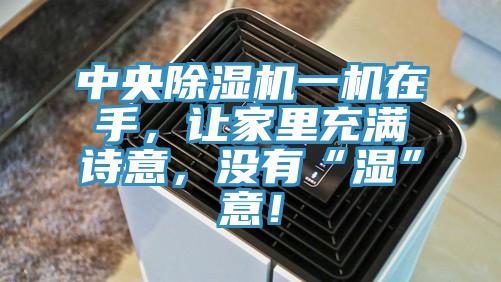 中央除濕機(jī)一機(jī)在手，讓家里充滿詩意，沒有“濕”意！