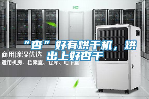 “杏”好有烘干機，烘出上好杏干