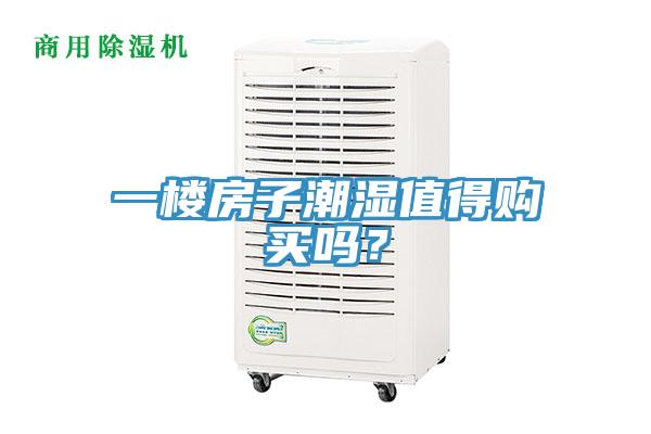 一樓房子潮濕值得購買嗎？