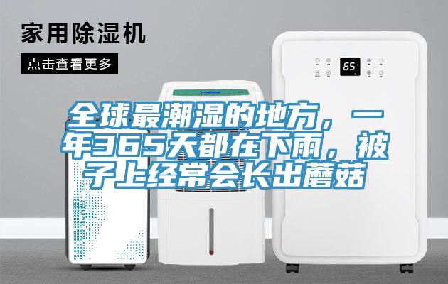 全球最潮濕的地方,一年365天都在下雨,被子上經常會長出蘑菇