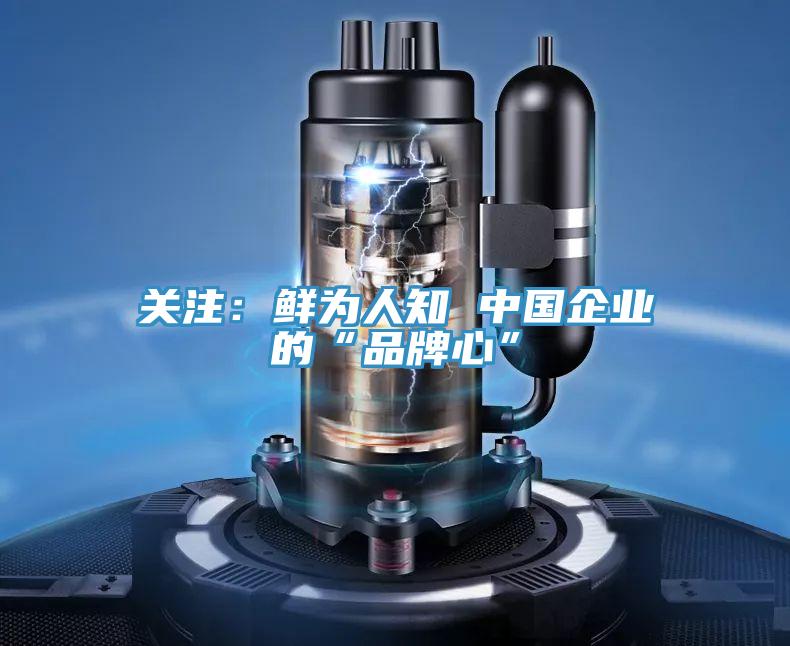 關(guān)注:鮮為人知 中國(guó)企業(yè)的“品牌心”