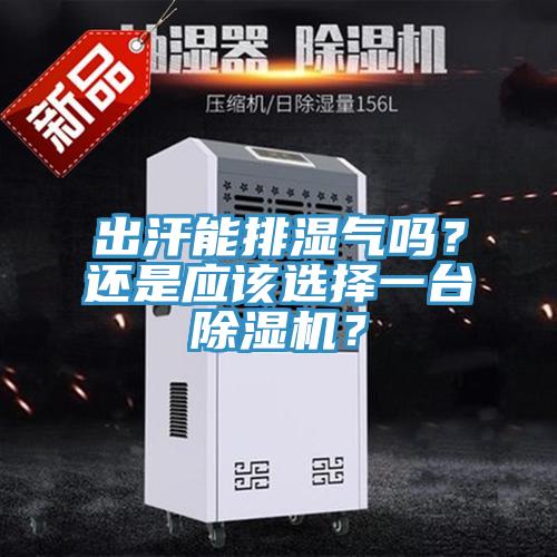 出汗能排濕氣嗎?還是應該選擇一臺除濕機?