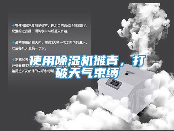 使用除濕機攤青，打破天氣束縛