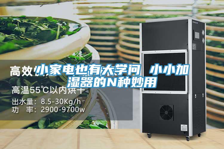 小家電也有大學(xué)問(wèn) 小小加濕器的N種妙用