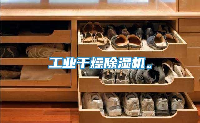 工業干燥除濕機。