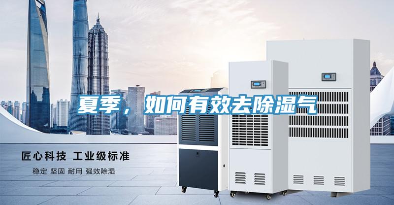 夏季，如何有效去除濕氣