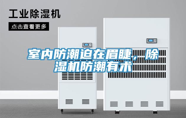 室內(nèi)防潮迫在眉睫，除濕機(jī)防潮有術(shù)