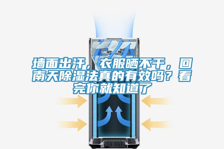 墻面出汗，衣服曬不干，回南天除濕法真的有效嗎？看完你就知道了