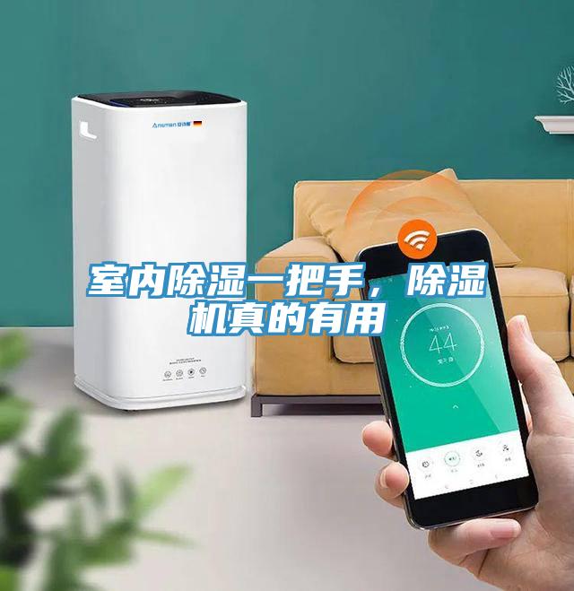 室內(nèi)除濕一把手，除濕機(jī)真的有用