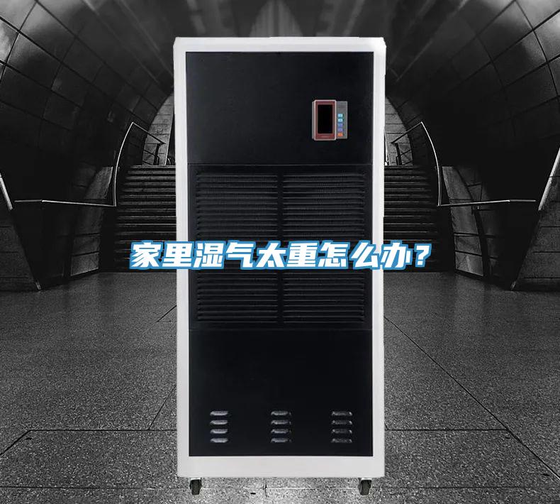 家里濕氣太重怎么辦？