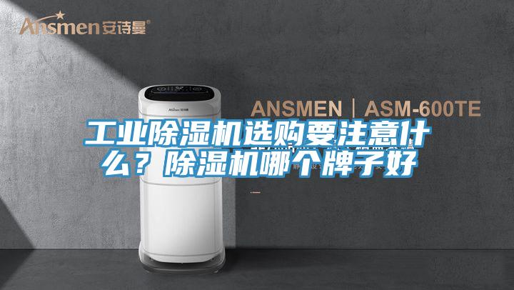 工業除濕機選購要注意什么？除濕機哪個牌子好