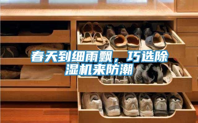 春天到細(xì)雨飄，巧選除濕機(jī)來防潮