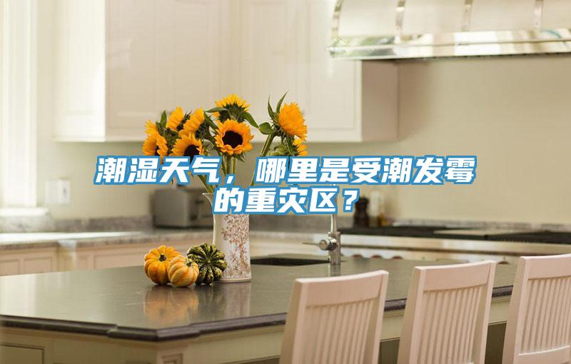 潮濕天氣，哪里是受潮發(fā)霉的重災區(qū)？