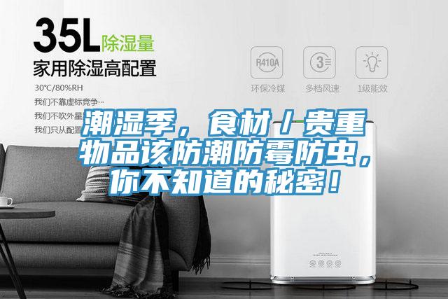 潮濕季，食材／貴重物品該防潮防霉防蟲(chóng)，你不知道的秘密！