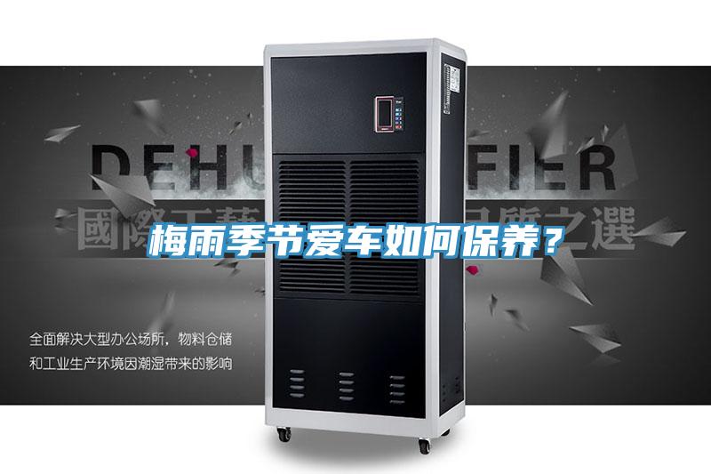 梅雨季節愛車如何保養？