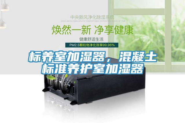 標(biāo)養(yǎng)室加濕器，混凝土標(biāo)準(zhǔn)養(yǎng)護(hù)室加濕器