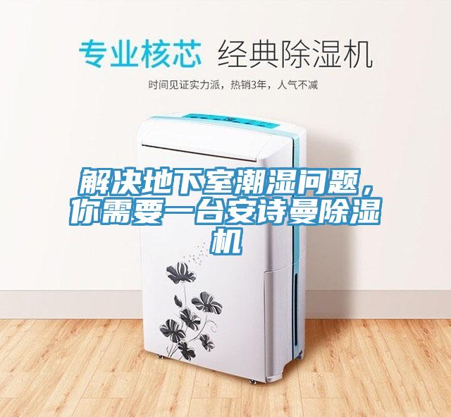 解決地下室潮濕問題，你需要一臺安詩曼除濕機