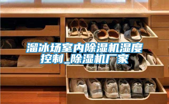 溜冰場室內(nèi)除濕機濕度控制_除濕機廠家