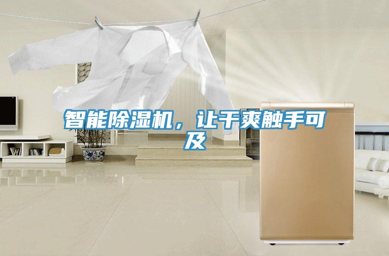智能除濕機，讓干爽觸手可及