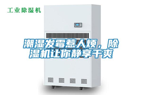 潮濕發霉惹人煩，除濕機讓你靜享干爽