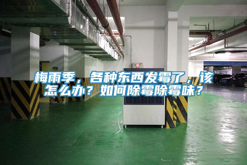 梅雨季，各種東西發霉了，該怎么辦？如何除霉除霉味？
