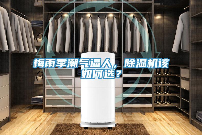 梅雨季潮氣逼人，除濕機(jī)該如何選？