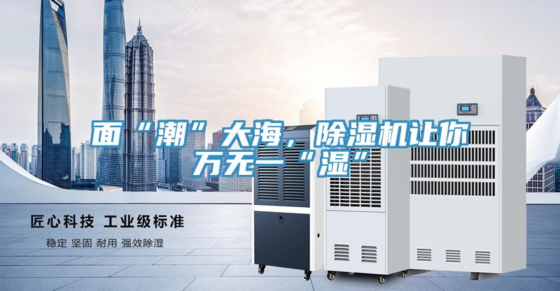 面“潮”大海，除濕機(jī)讓你萬無一“濕”