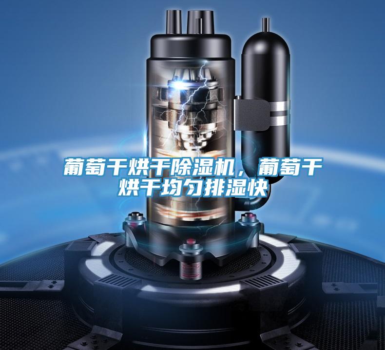 葡萄干烘干除濕機，葡萄干烘干均勻排濕快