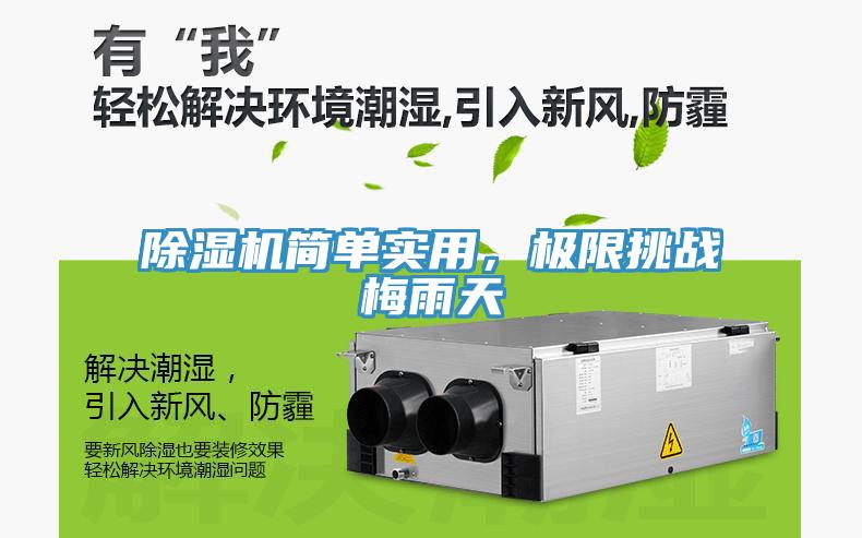 除濕機簡單實用，極限挑戰梅雨天