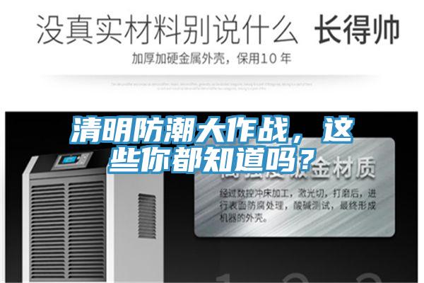 清明防潮大作戰，這些你都知道嗎？