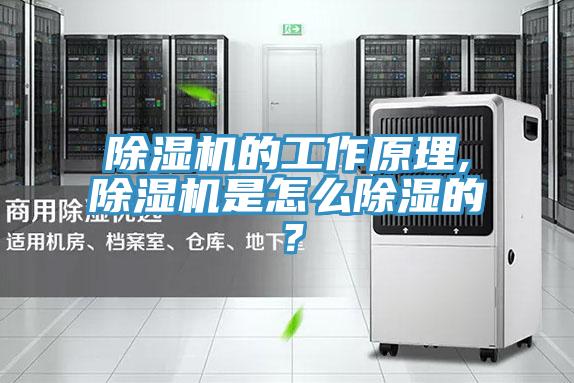 除濕機的工作原理,除濕機是怎么除濕的？
