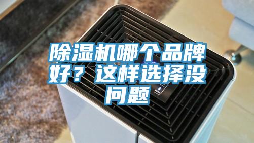 除濕機哪個品牌好？這樣選擇沒問題