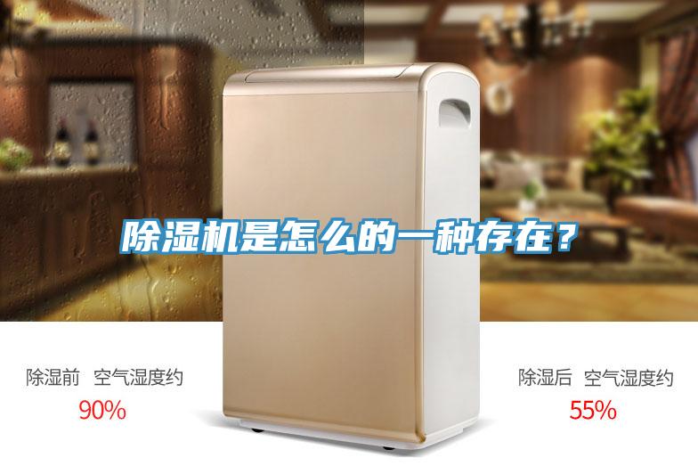 除濕機是怎么的一種存在？