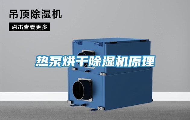 熱泵烘干除濕機(jī)原理