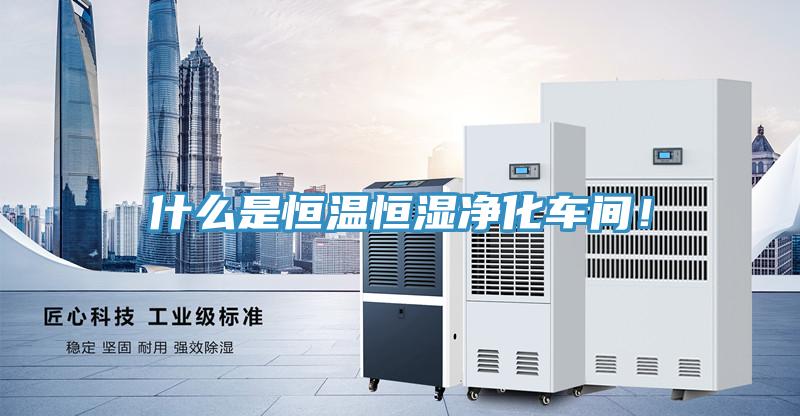 什么是恒溫恒濕凈化車間！