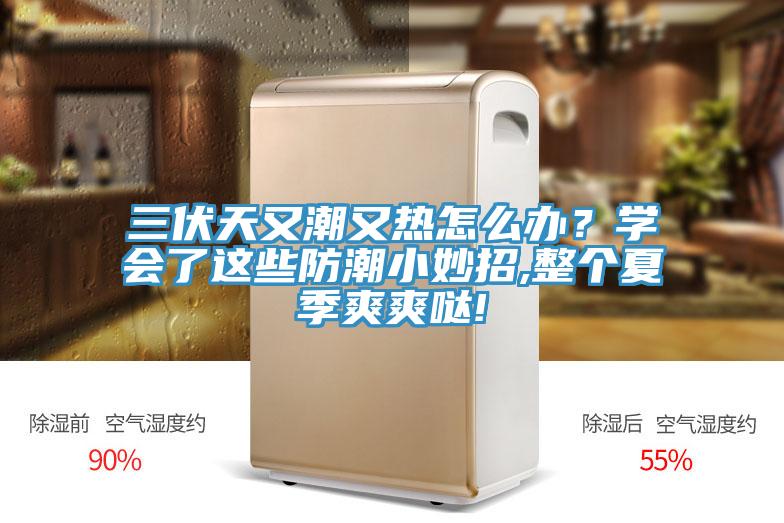 三伏天又潮又熱怎么辦？學會了這些防潮小妙招,整個夏季爽爽噠!