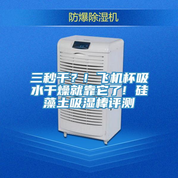 三秒干?! 飛機杯吸水干燥就靠它了! 硅藻土吸濕棒評測