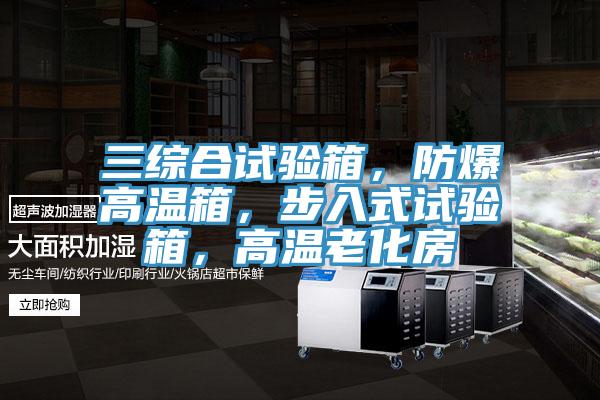 三綜合試驗箱,防爆高溫箱,步入式試驗箱,高溫老化房