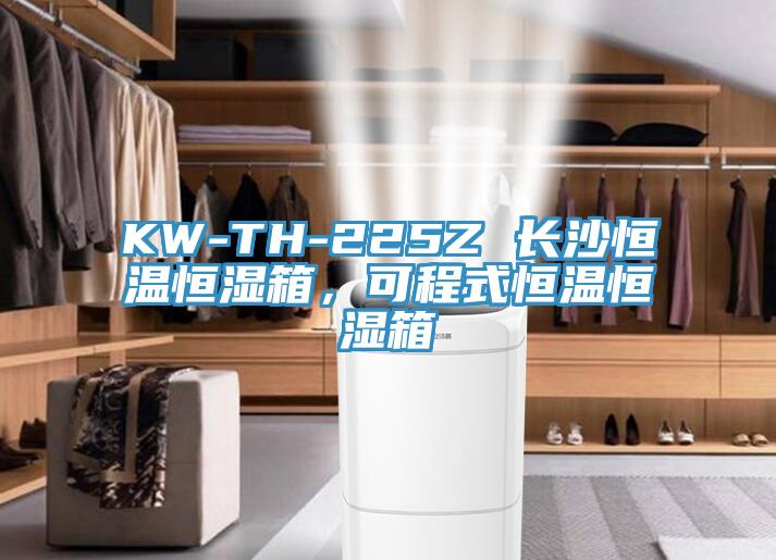 KW-TH-225Z 長(zhǎng)沙恒溫恒濕箱,可程式恒溫恒濕箱