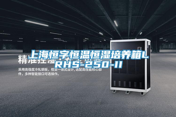 上海恒字恒溫恒濕培養箱LRHS-250-II