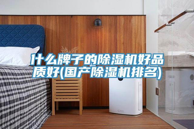 什么牌子的除濕機(jī)好品質(zhì)好(國產(chǎn)除濕機(jī)排名)