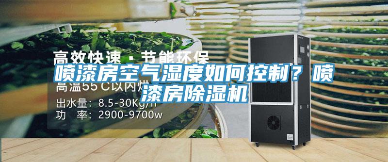 噴漆房空氣濕度如何控制？噴漆房除濕機