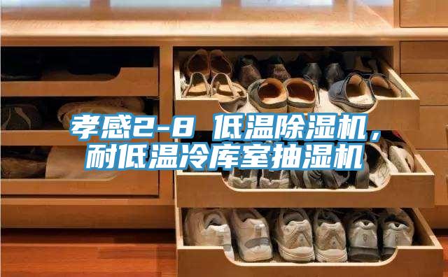 孝感2-8℃低溫除濕機，耐低溫冷庫室抽濕機