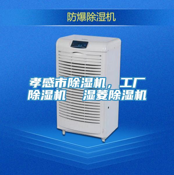 孝感市除濕機，工廠除濕機  濕菱除濕機