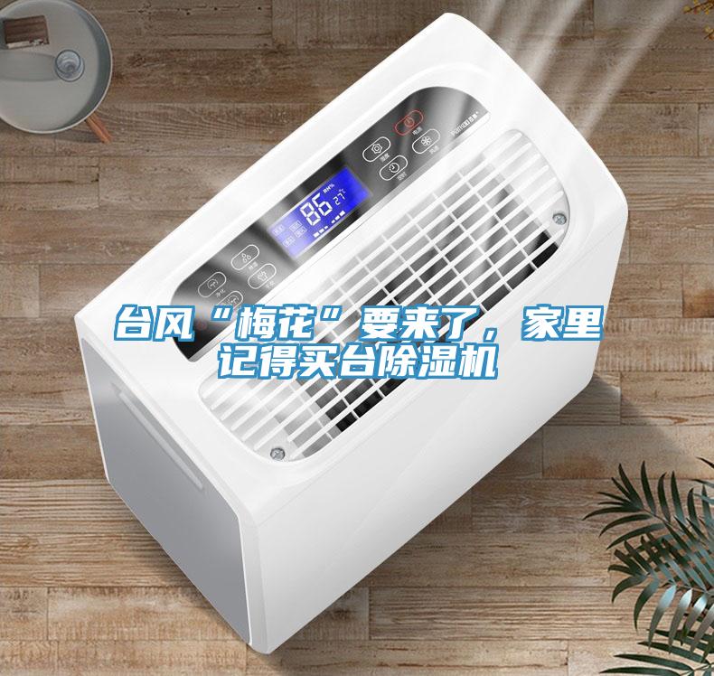 臺(tái)風(fēng)“梅花”要來(lái)了，家里記得買臺(tái)除濕機(jī)